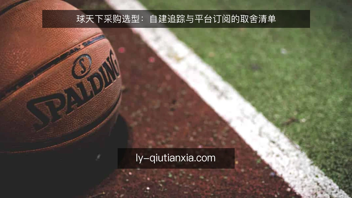 球天下采购选型：自建追踪与平台订阅的取舍清单