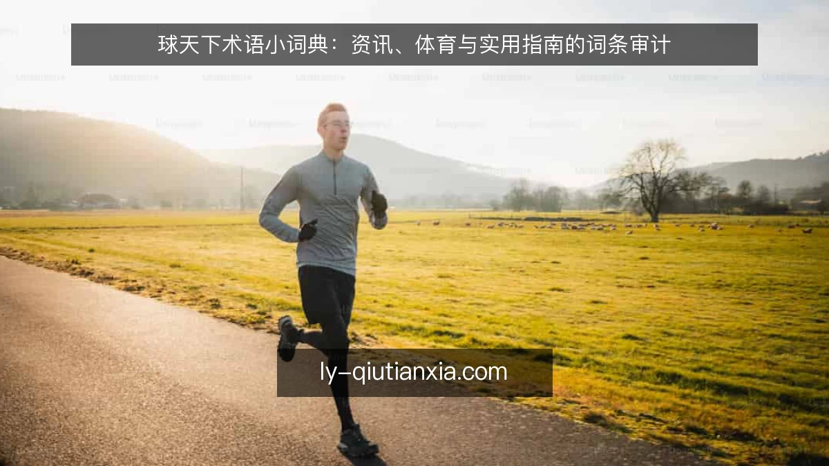 球天下术语小词典:资讯、体育与实用指南的词条审计