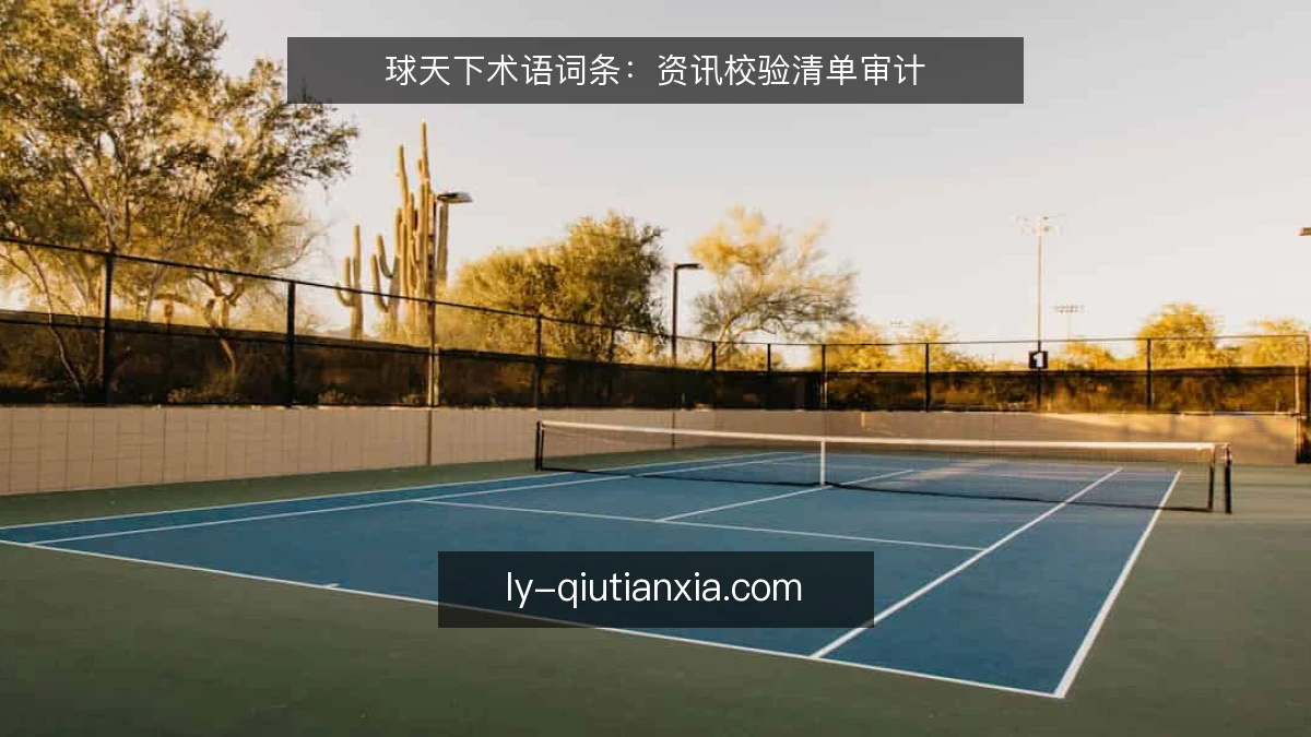 球天下术语词条:资讯校验清单审计