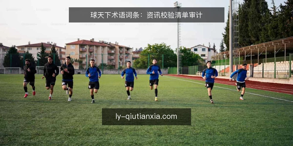 球天下术语词条:资讯校验清单审计 — 为什么现在要做术语审计 配图